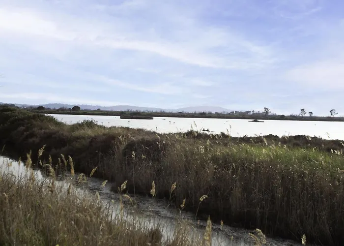 Les Regates-9 By Interhome Lejlighed *